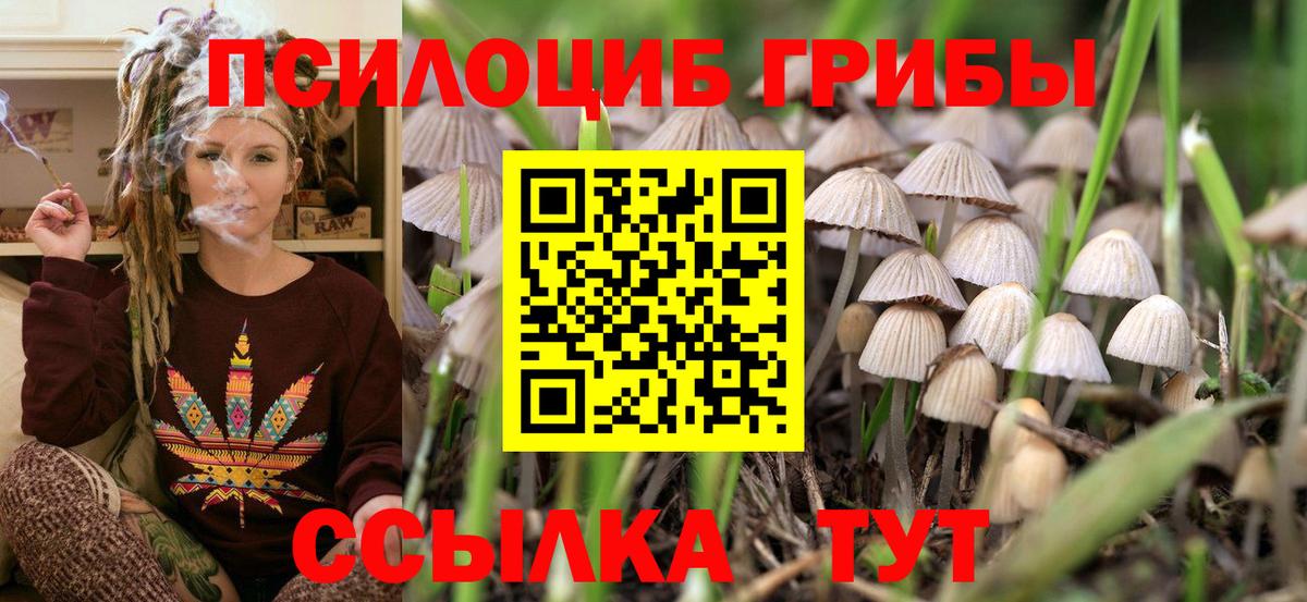Галлюциногенные грибы Magic Shrooms Конаково