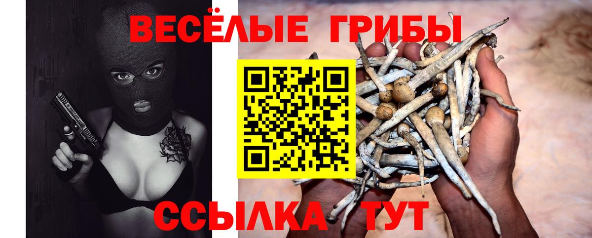 Псилоцибиновые грибы GOLDEN TEACHER  Псилоцибиновые грибы ЛСД  Конаково  Вход с VPN 